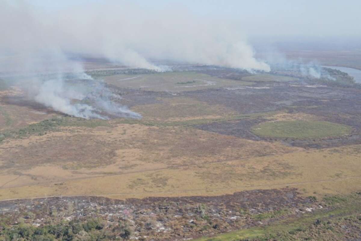 PF investiga incêndios criminosos no Pantanal. Danos somam R$ 220 mi