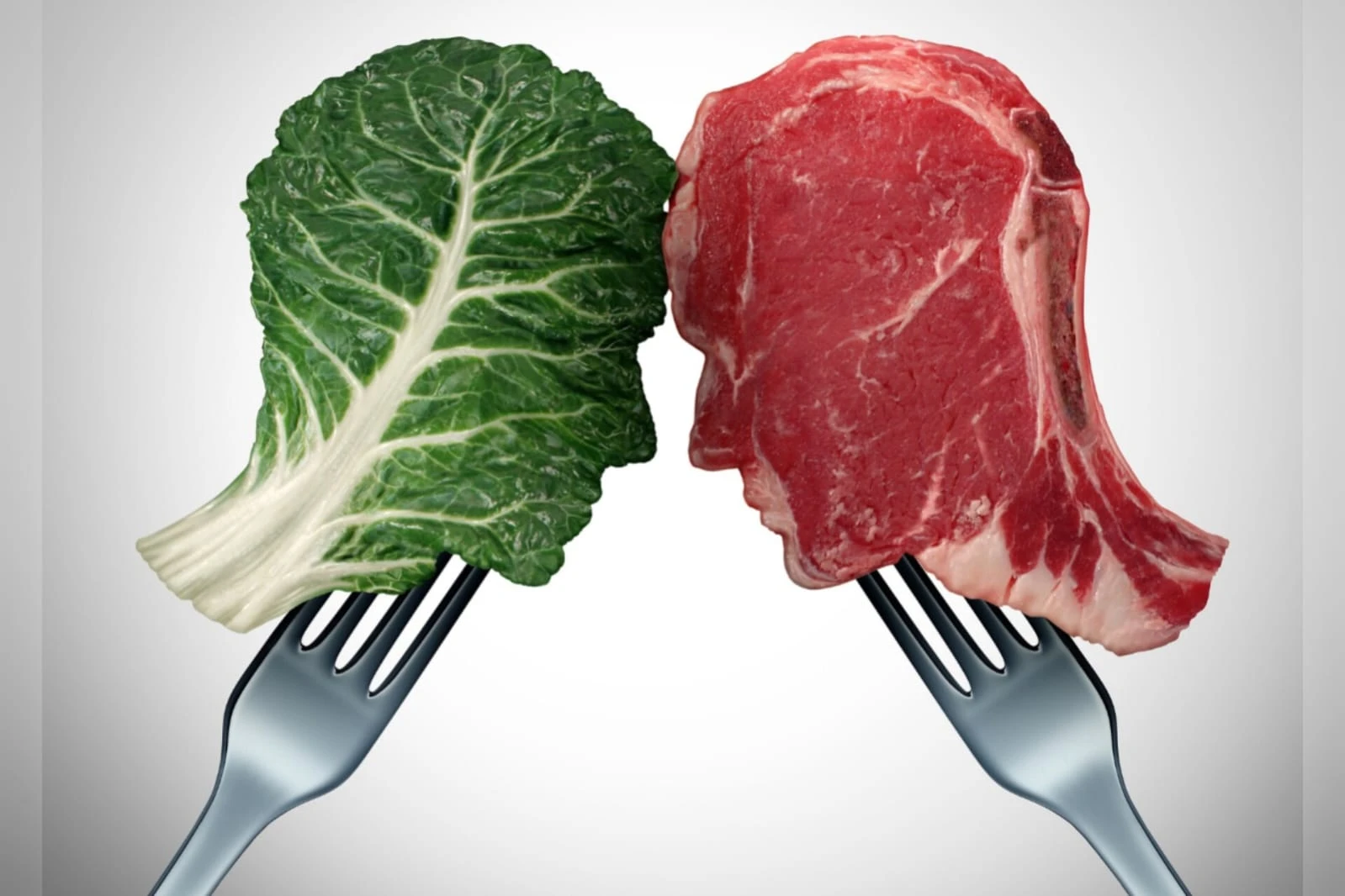 Proteína animal X vegetal: estudo diz qual leva a maior ganho de massa