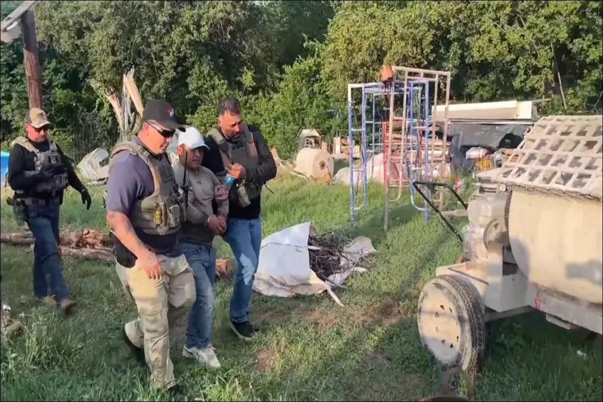 Vídeo: imigrante é preso nos EUA após se esconder em árvore
