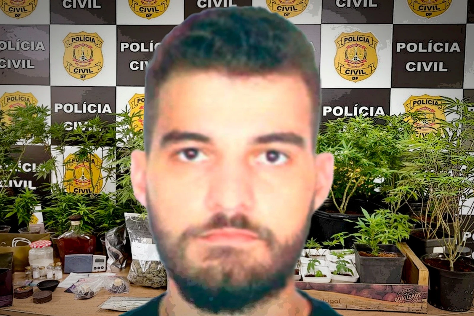 Quem é o “advogado da erva” que cultivava e vendia maconha nas redes
