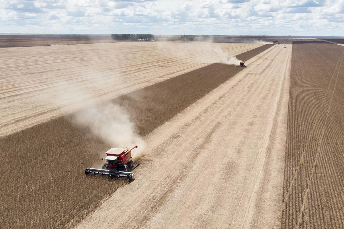Estudo mostra como vivem moradores das 50 cidades com maior PIB agro
