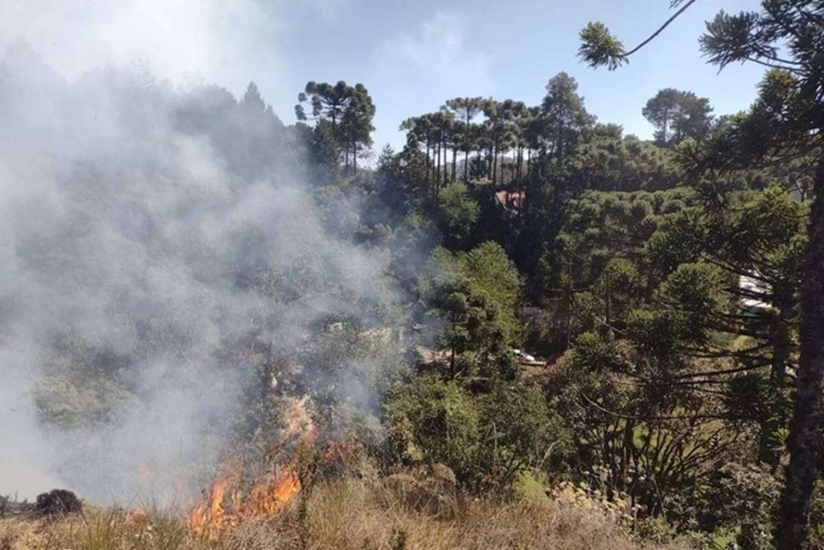 Incêndios em SP: estado registra 16 focos ativos neste sábado