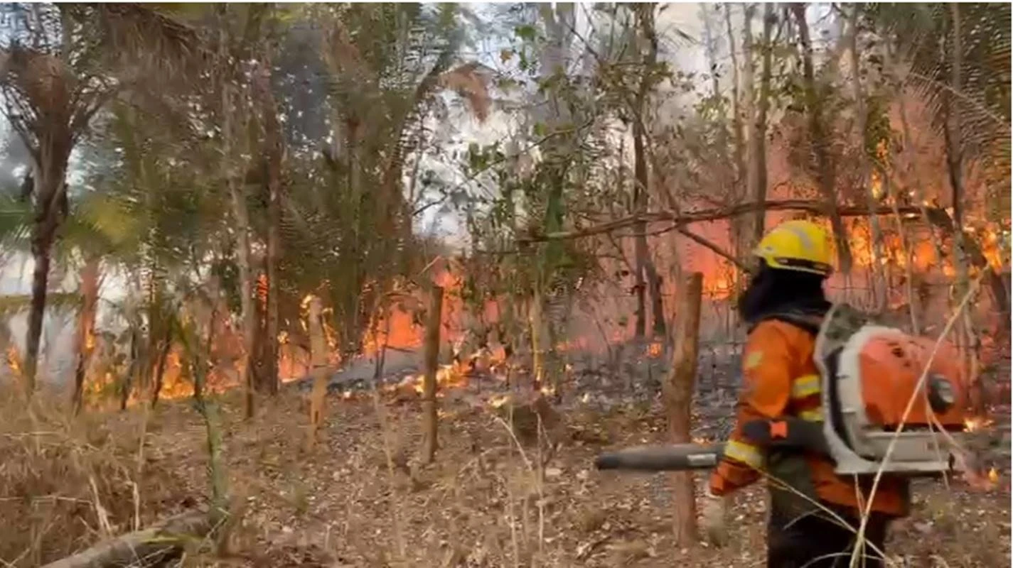 Chapada: incêndio atingiu mais de 35 mil hectares. Veja vídeo
