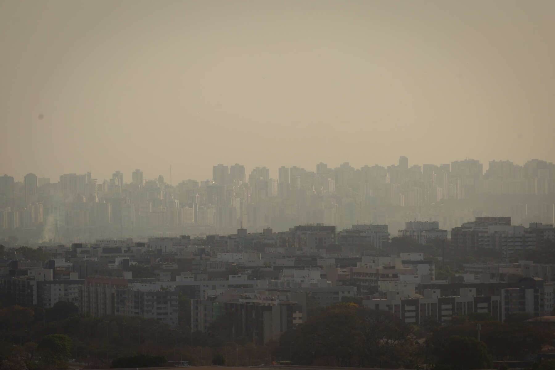 Alerta: seca recorde no Brasil impacta rios da América Latina