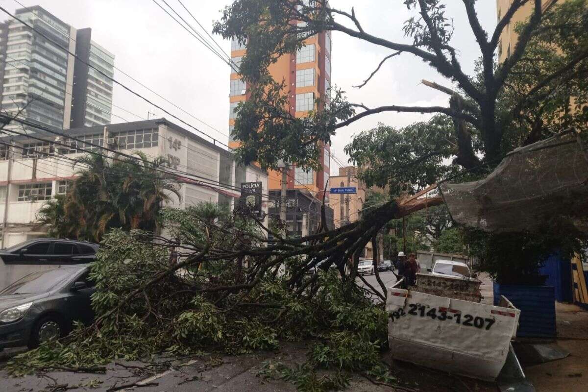 Vídeo: chuvas derrubam pedaço de prédio e causam estragos em São Paulo