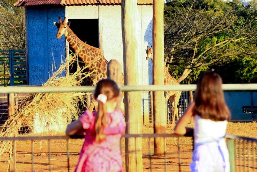 Zoo de Brasília terá entrada grátis para mulheres no sábado e domingo