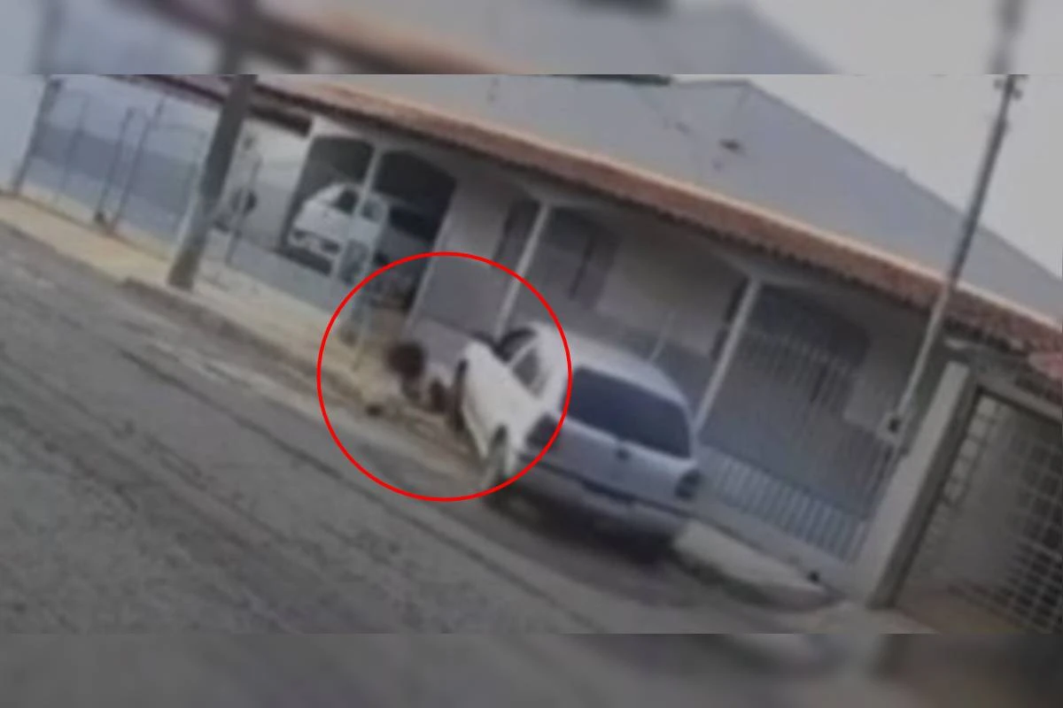 Imagens fortes: mulher é perseguida e atropelada pelo ex-marido