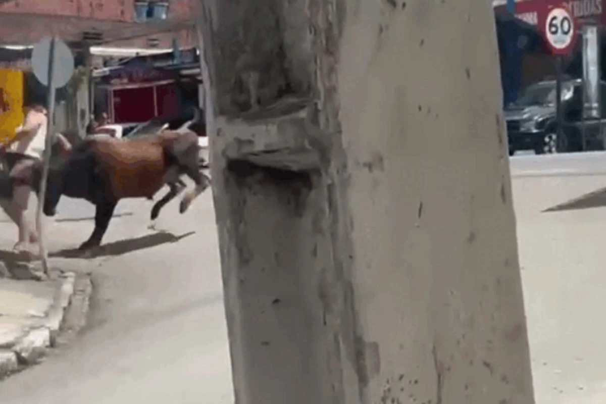 Vídeo. Mulher fica ferida ao ser atacada por boi solto em rua