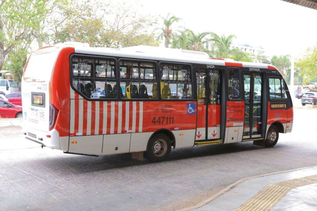 Zebrinha começa a circular em Vicente Pires na próxima segunda (4/11)