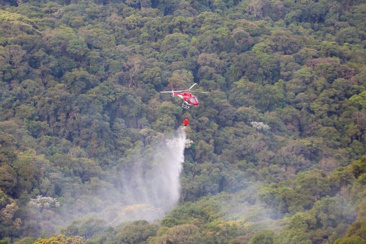 Pela 1ª vez em 16 dias, estado de SP não tem novos focos de incêndio