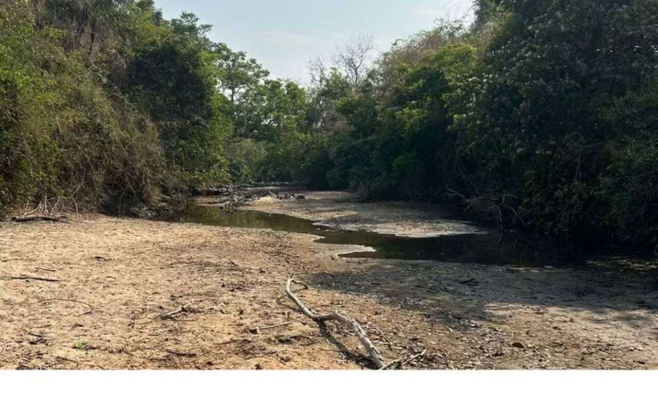 Colapso: cidade do interior de Goiás fica sem água após rio secar