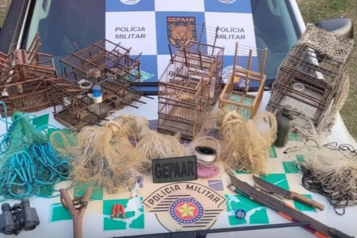 Polícia desmonta rancho de caça e pesca ilegais na Grande SP