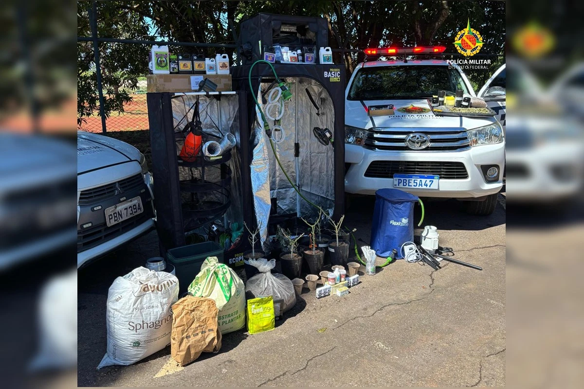 Guará: apartamento do “bagulho” tinha laboratório e cultivo de maconha