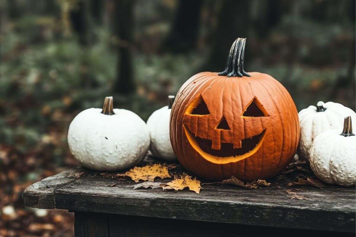 Confira rituais para fazer no Halloween que atraem boas energias