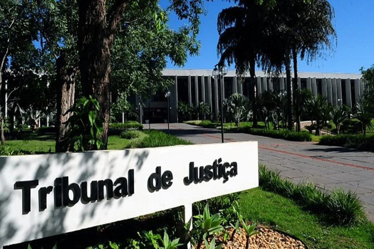 Justiça condena cuidadora por morte de cão atacado em hotel para pets