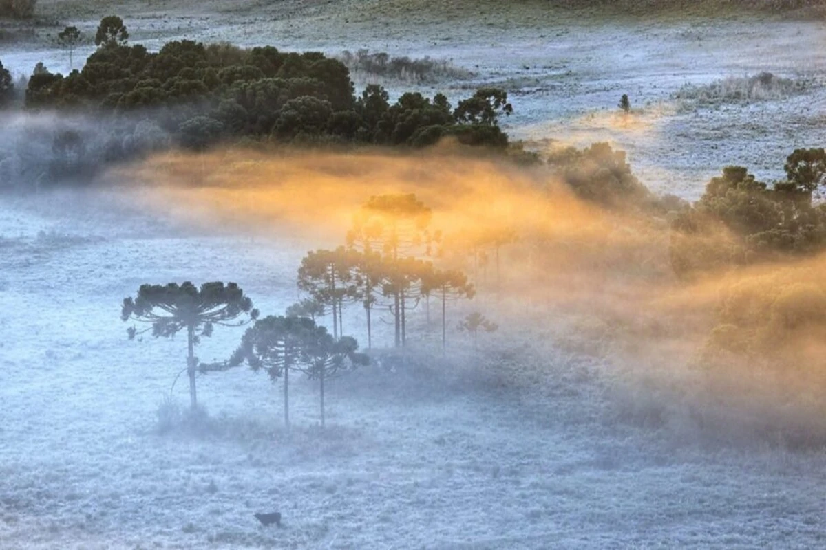 Cidade registra temperatura negativa pelo 2º dia seguido. Saiba qual
