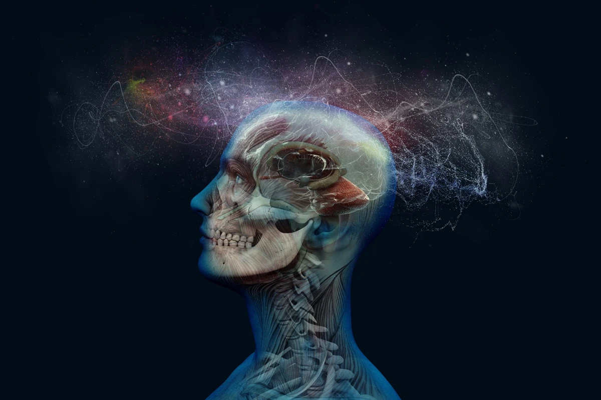 Cientistas descobrem como reverter ansiedade e reequilibrar o cérebro