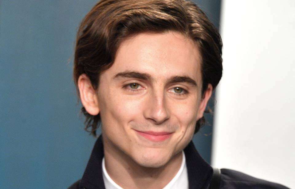 Timothée Chalamet surge de surpresa em concurso de sósias e causa caos