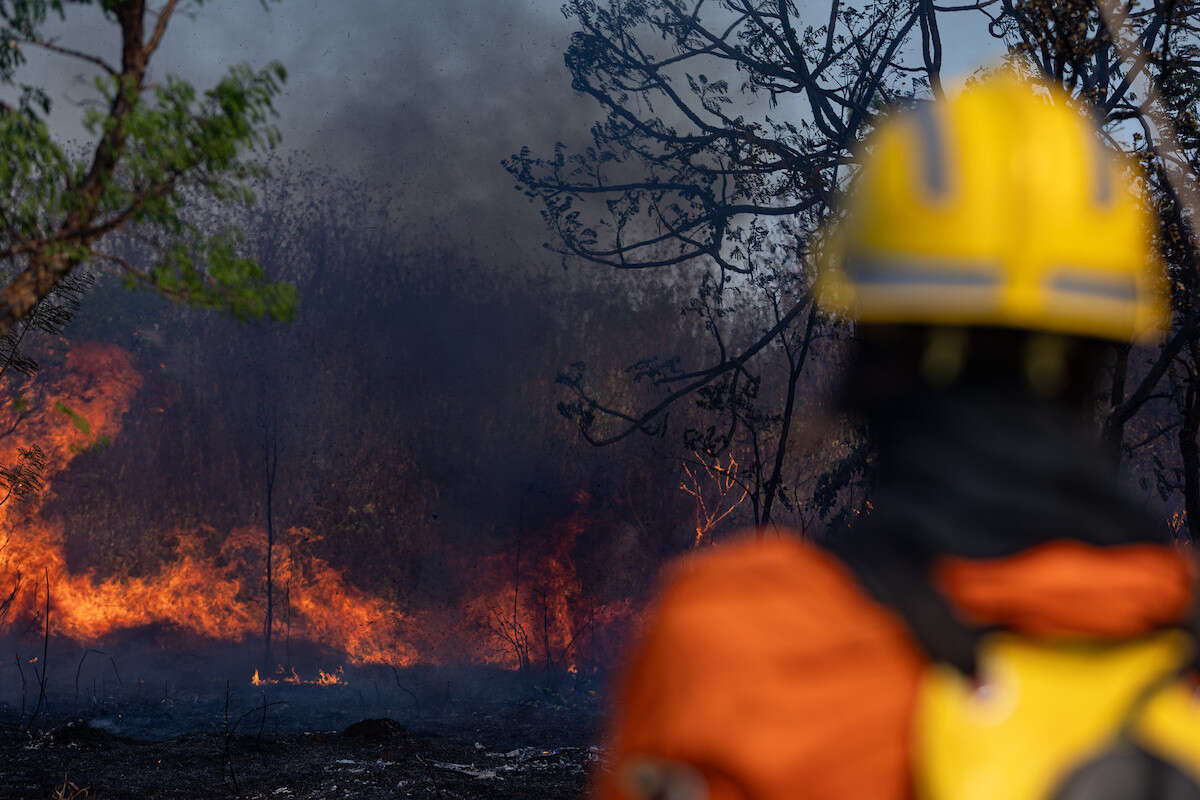 Em menos de 15 dias, sete foram presos por incêndios florestais no DF