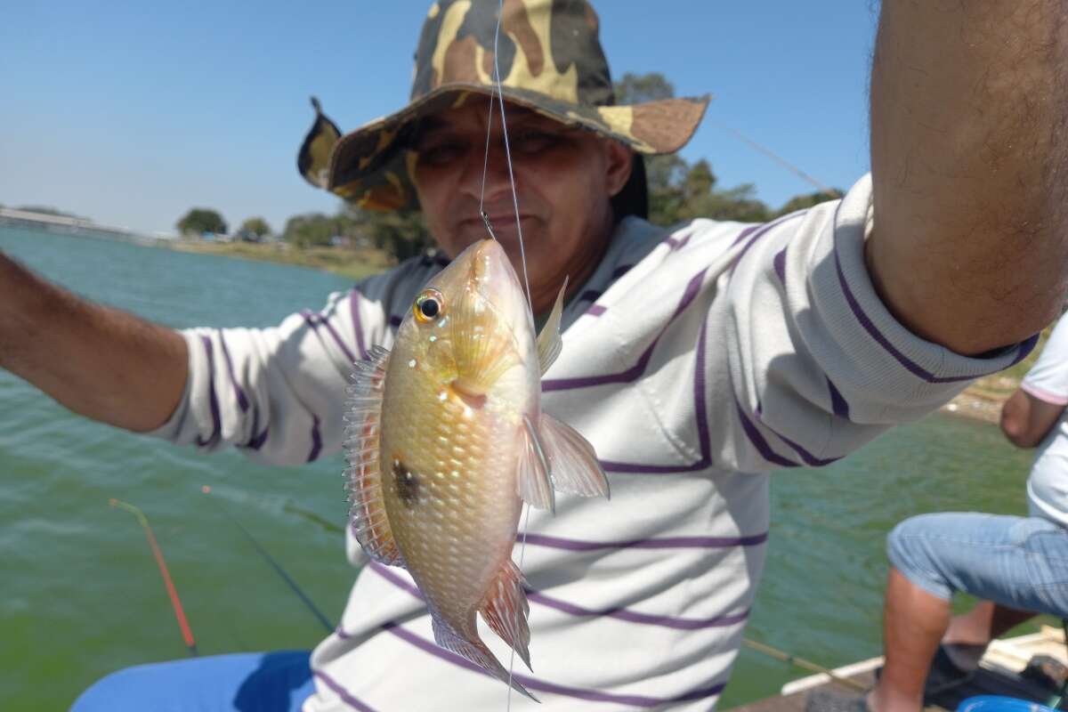 Moradores ignoram poluição e pescam peixe na Billings: “Dá pra comer”