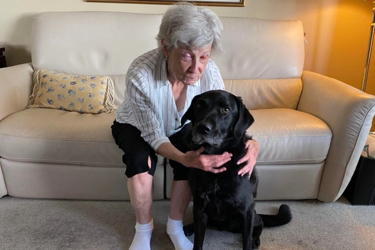 Implante de dente no olho de pacientes restaura a visão de cegos