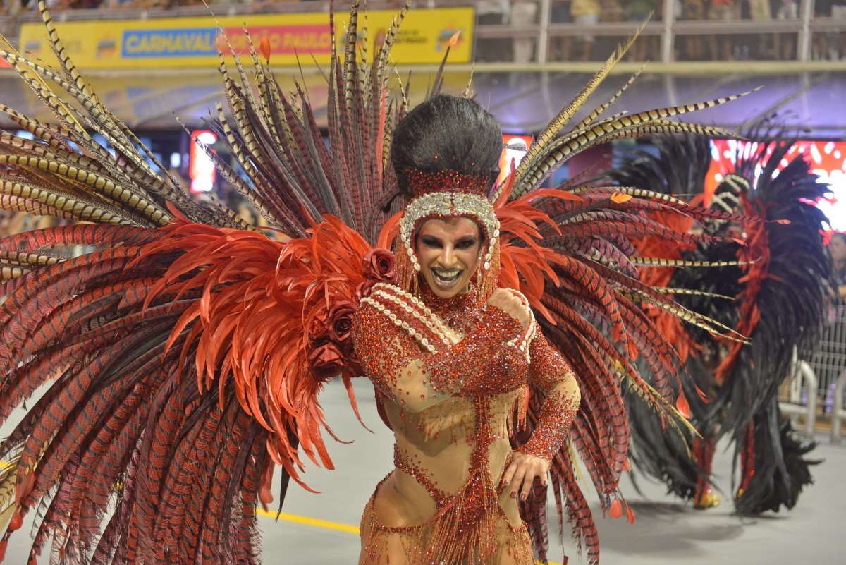 Veja lista completa das escolas campeãs de títulos do Carnaval de SP