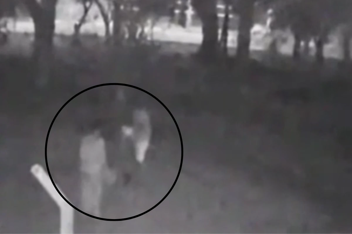 Vídeo: casal é preso por matar e desfigurar rosto de homem no interior