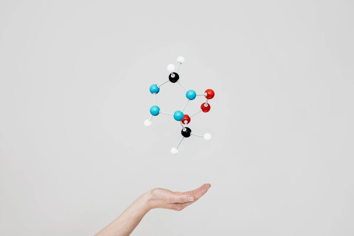 Cientistas finalmente confirmam hipótese sobre vitamina B1 de 1958