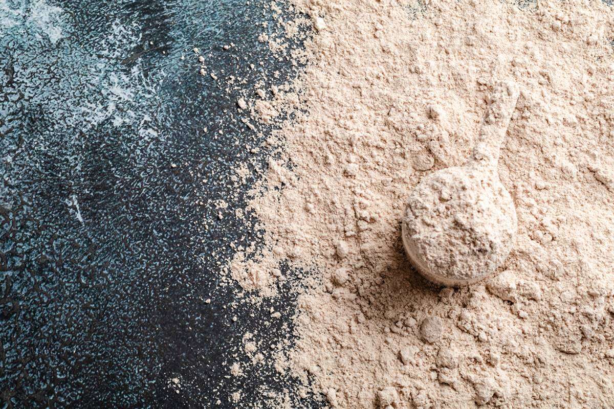 Whey protein adulterado: governo adia fiscalização sobre suplementos