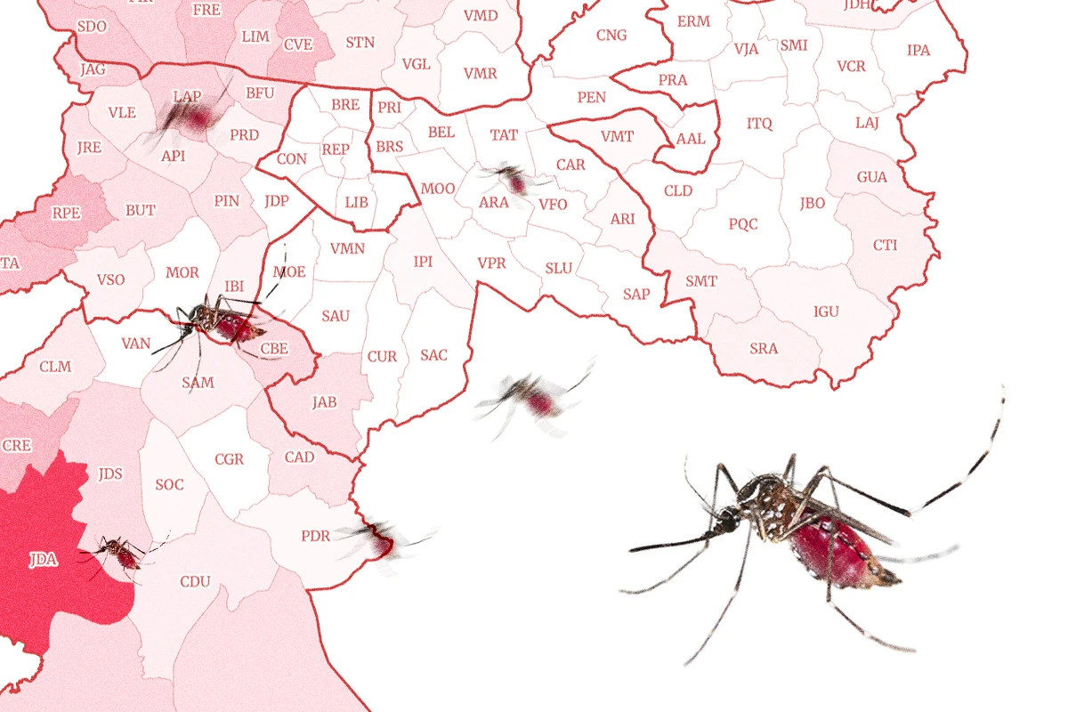Norte de SP lidera epidemia de dengue, mas pior distrito fica no sul