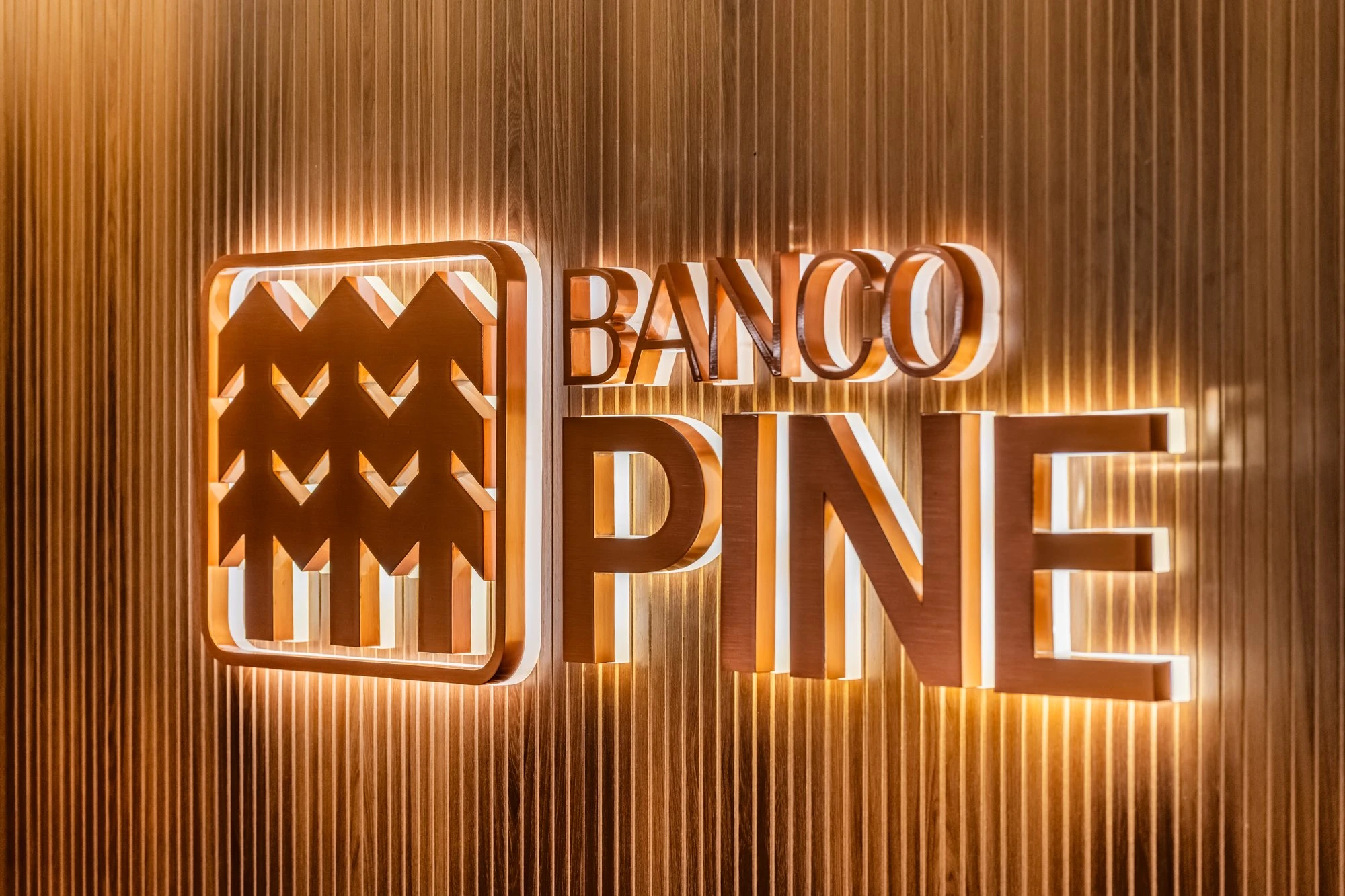 Banco Pine registra lucro de R$ 83 milhões e alcança ROE de 29%