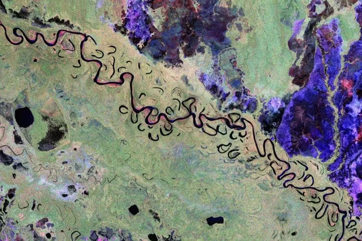 Satélite registra 1ª imagem de missão para revelar peso das florestas