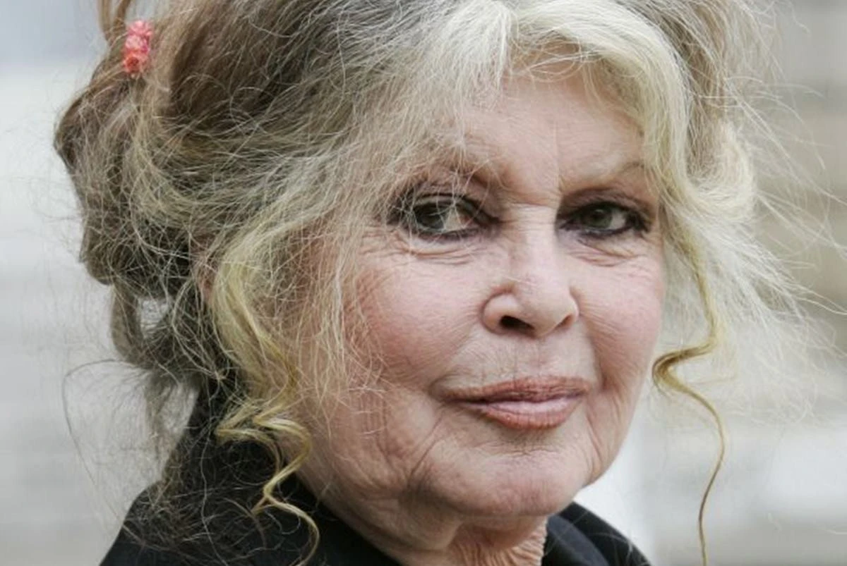 Aos 91 anos, Brigitte Bardot é internada em estado grave
