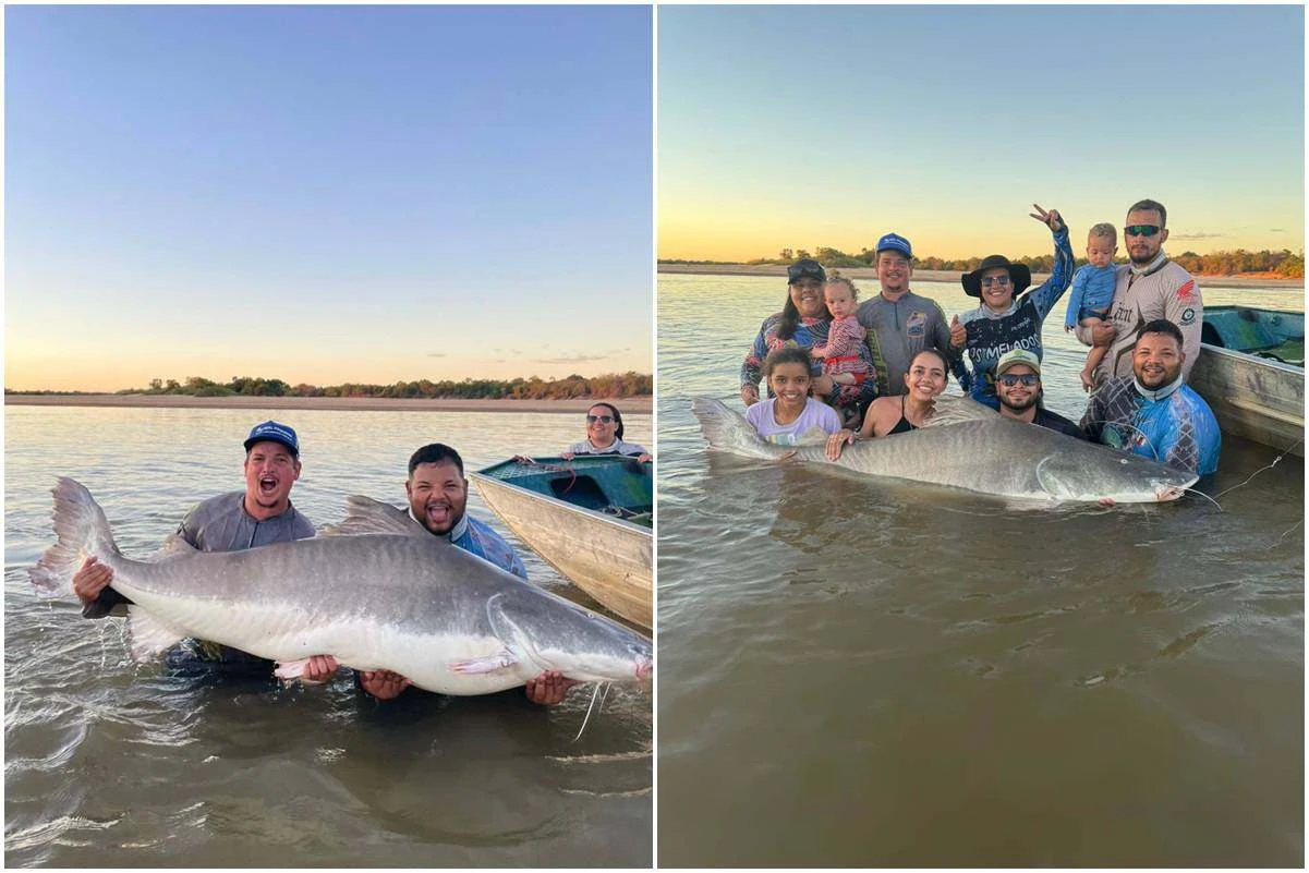 Homem fisga peixe de 2,6 metros e 100 kg no Rio Araguaia. Vídeo
