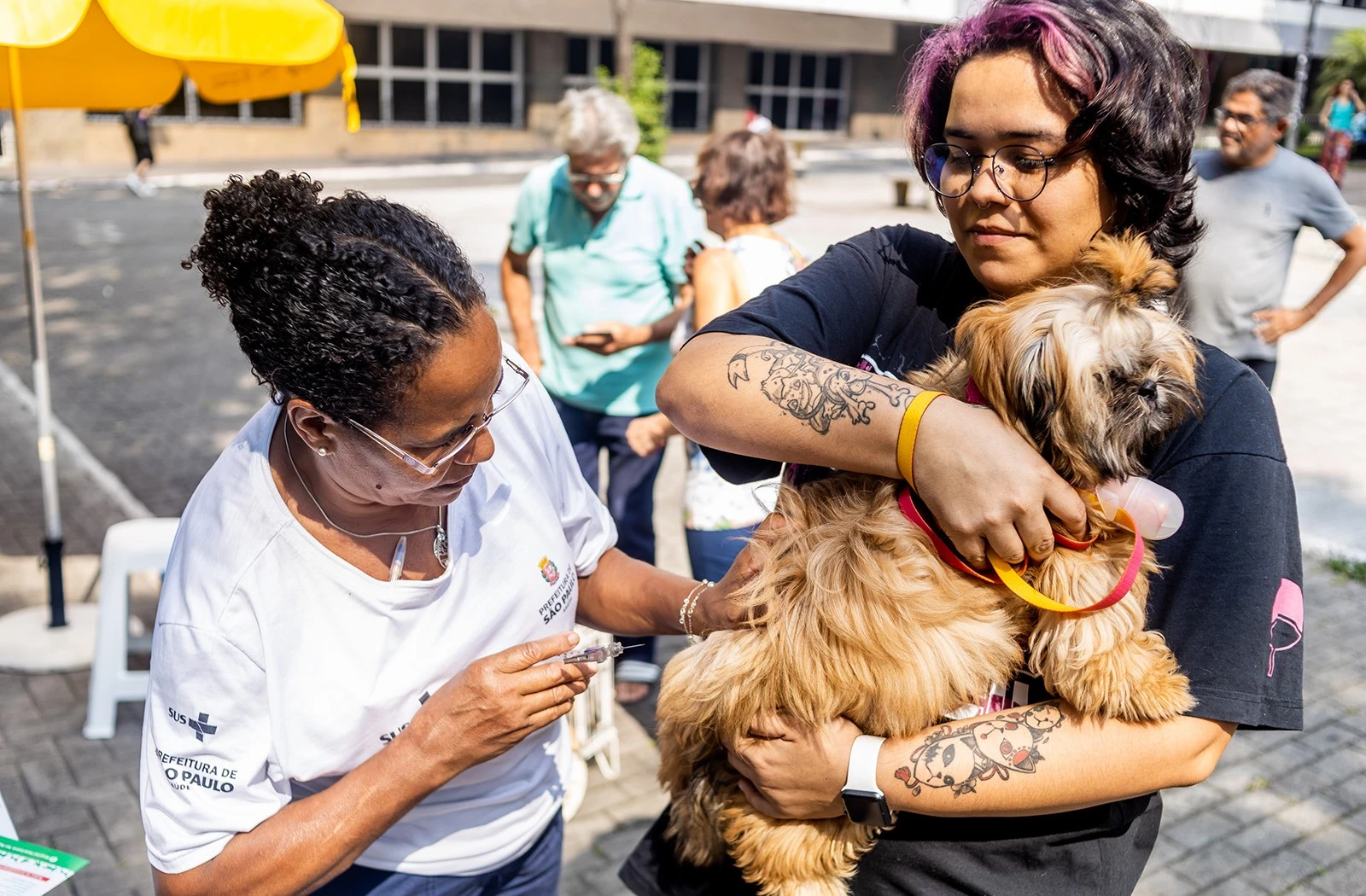 SP reforça ações para o bem-estar dos pets durante Semana Animal 2025