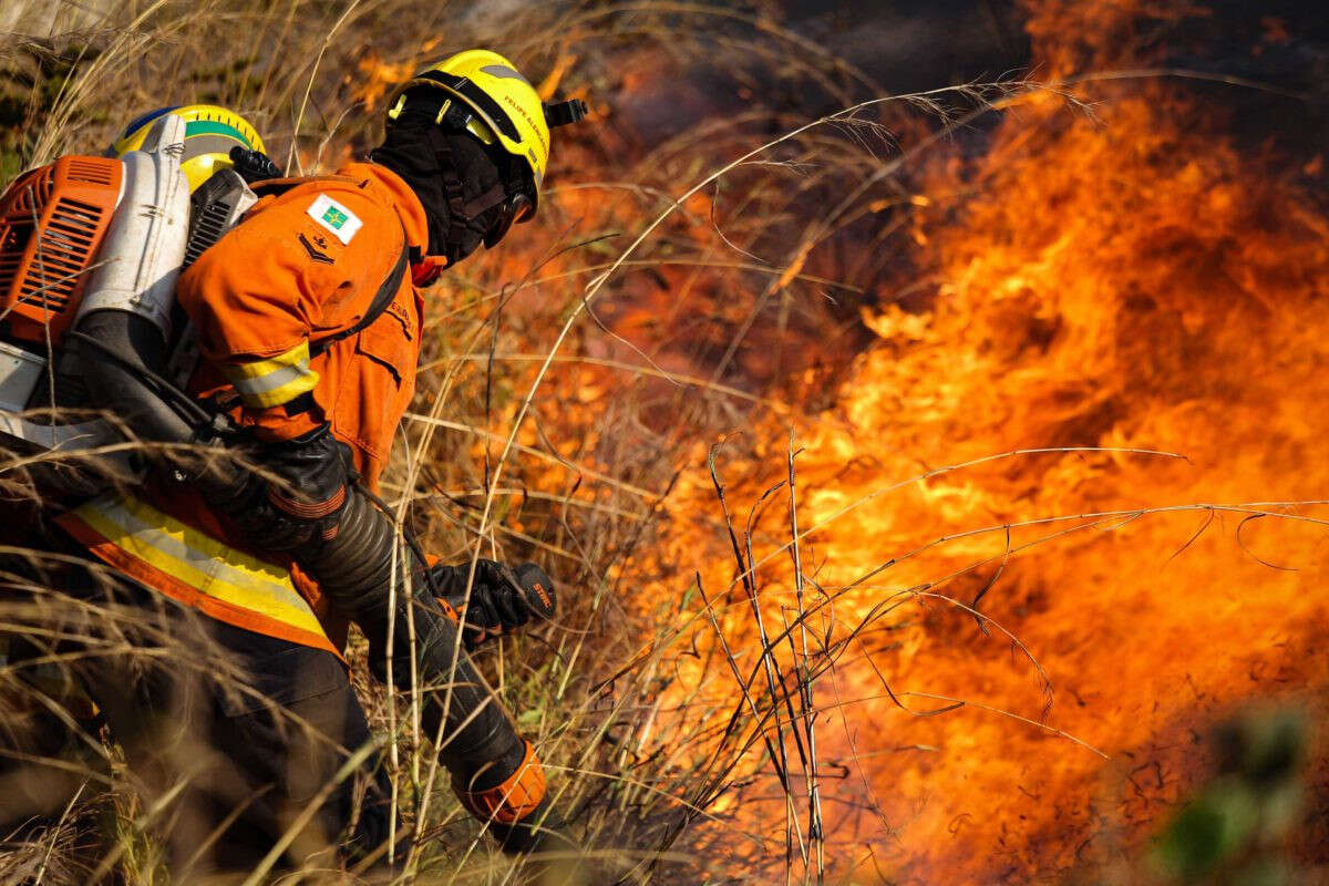 Chacareiro provocou incêndio que devastou cerca 200 mil m de vegetação