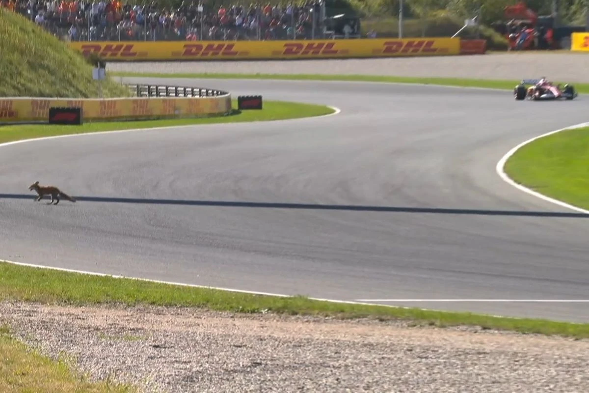 Vídeo: forasteiro invade pista durante F1 e é flagrado por Leclerc