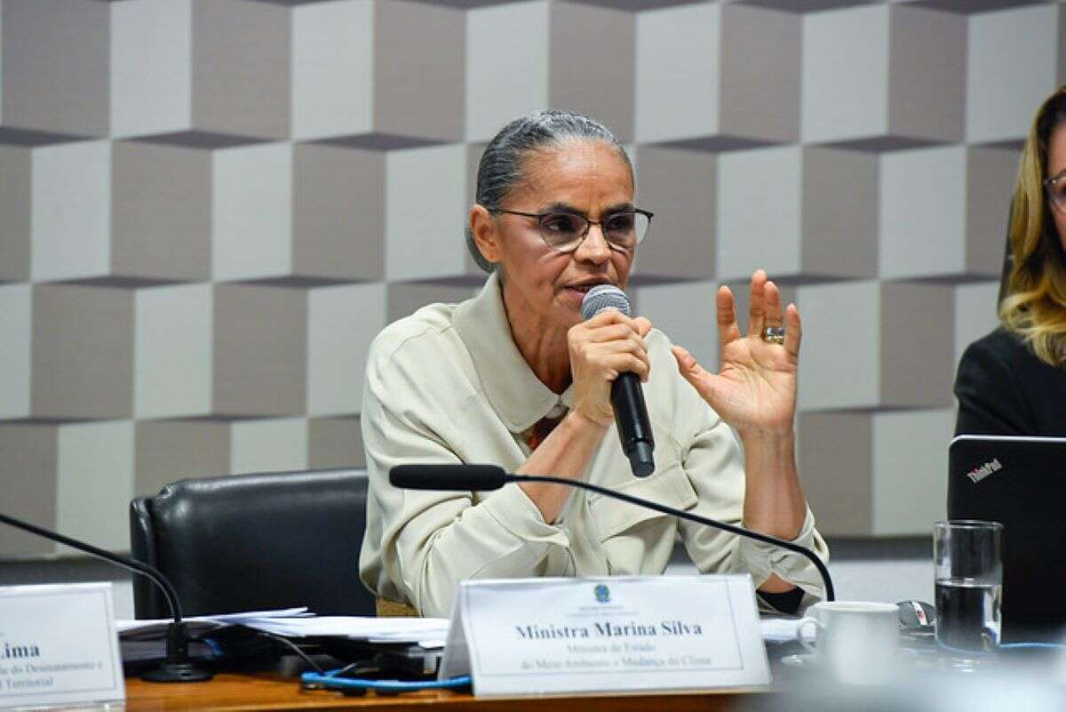 Senado: comissão do Meio Ambiente aprova convite para Marina Silva