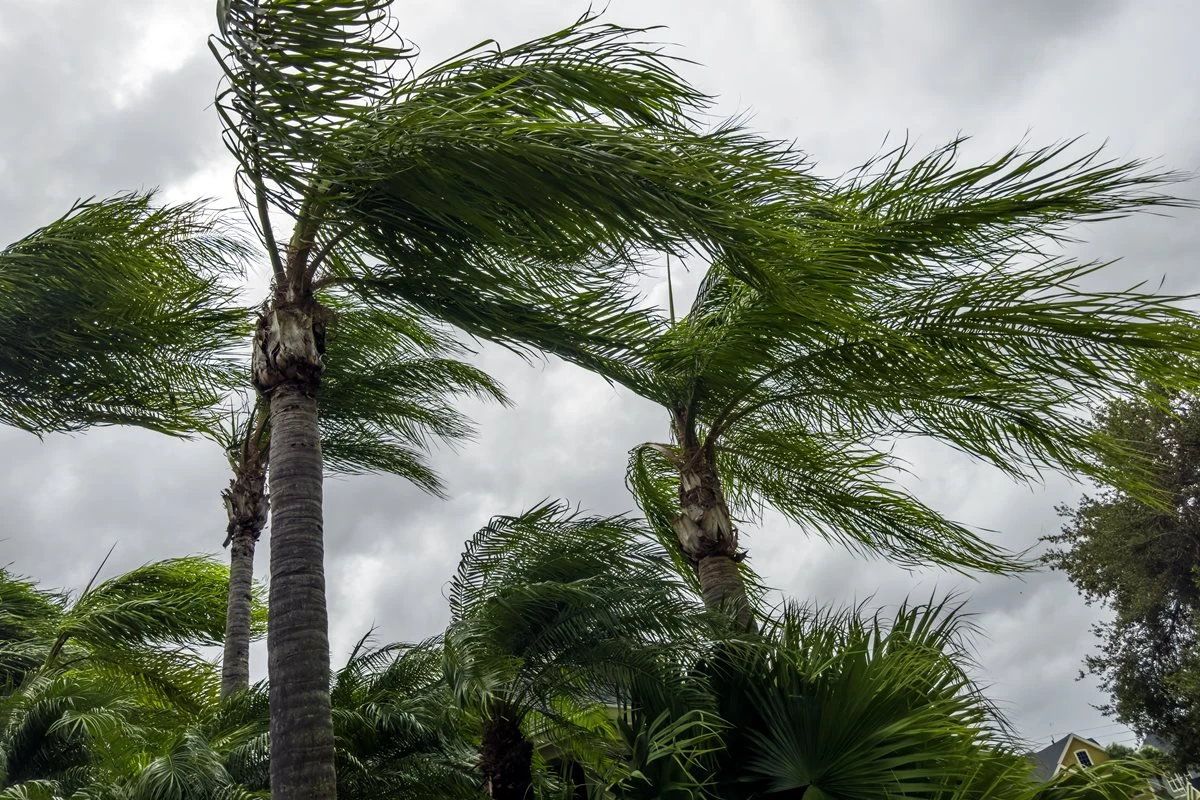 Inmet divulga novo alerta de grande perigo para litoral de SP. Entenda