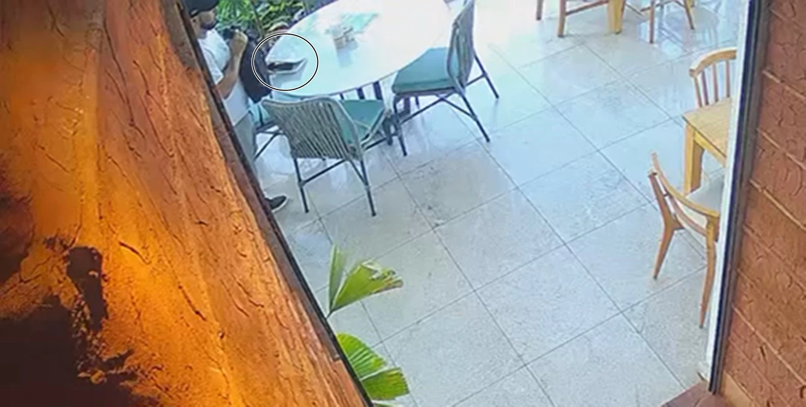 Veja ladrão furtando celular dentro de cafeteria em área nobre do DF