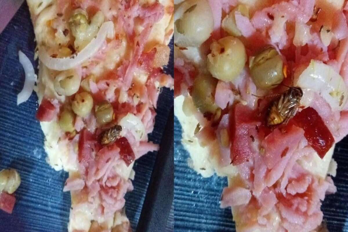 Pizza com barata? Mulher se revolta ao achar o bicho na comida em MS