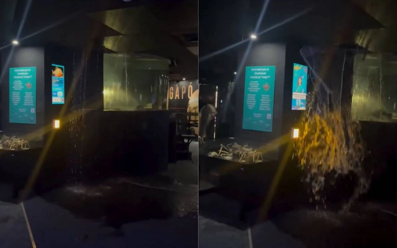 Vazamento de tanque de água assusta visitantes do AquaRio. Vídeo
