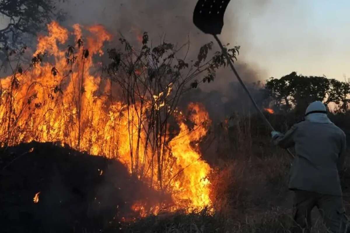 SP teve recorde de focos de incêndio para o mês de setembro, diz Inpe