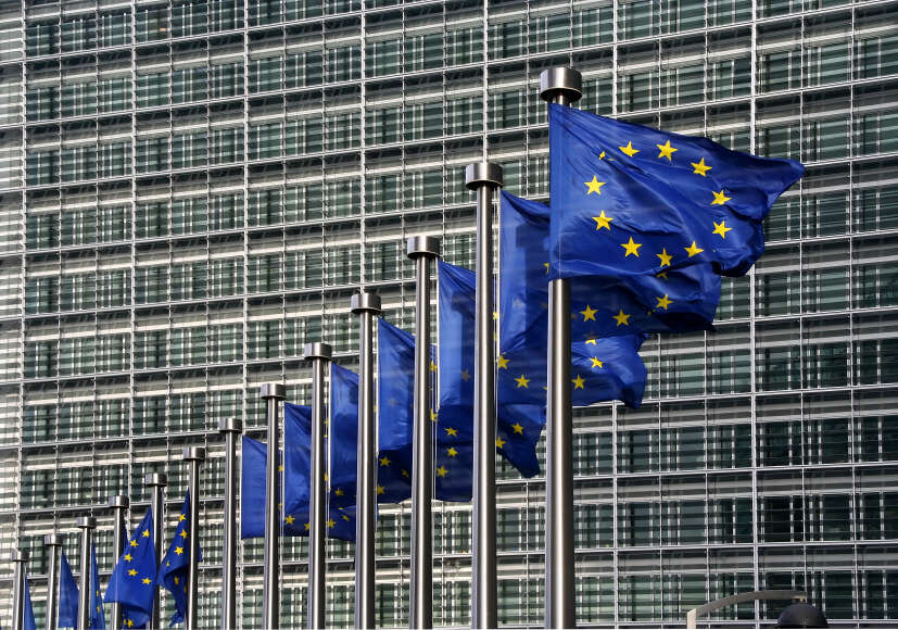 União Europeia decide adiar vigência da lei antidesmatamento para 2025