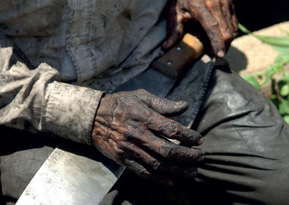 “Escravos do vinho”: juiz manda indenizar trabalhadores em R$ 3 mi