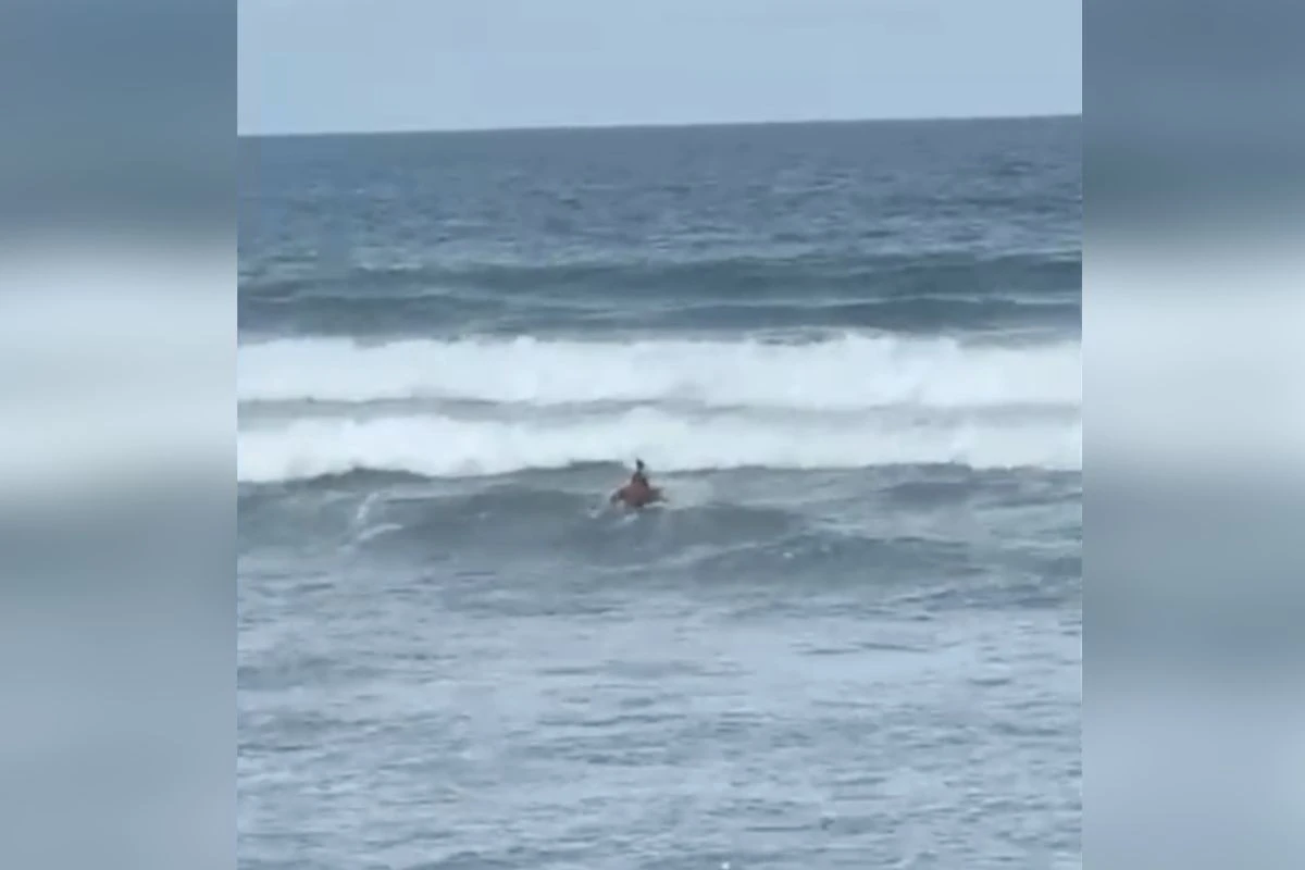 Surfista ajuda a salvar banhistas de afogamento no litoral de SP. Veja