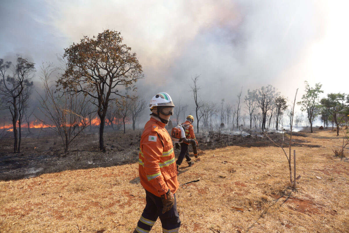 Bombeiro sofre queimaduras em combate ao incêndio no Parque Nacional