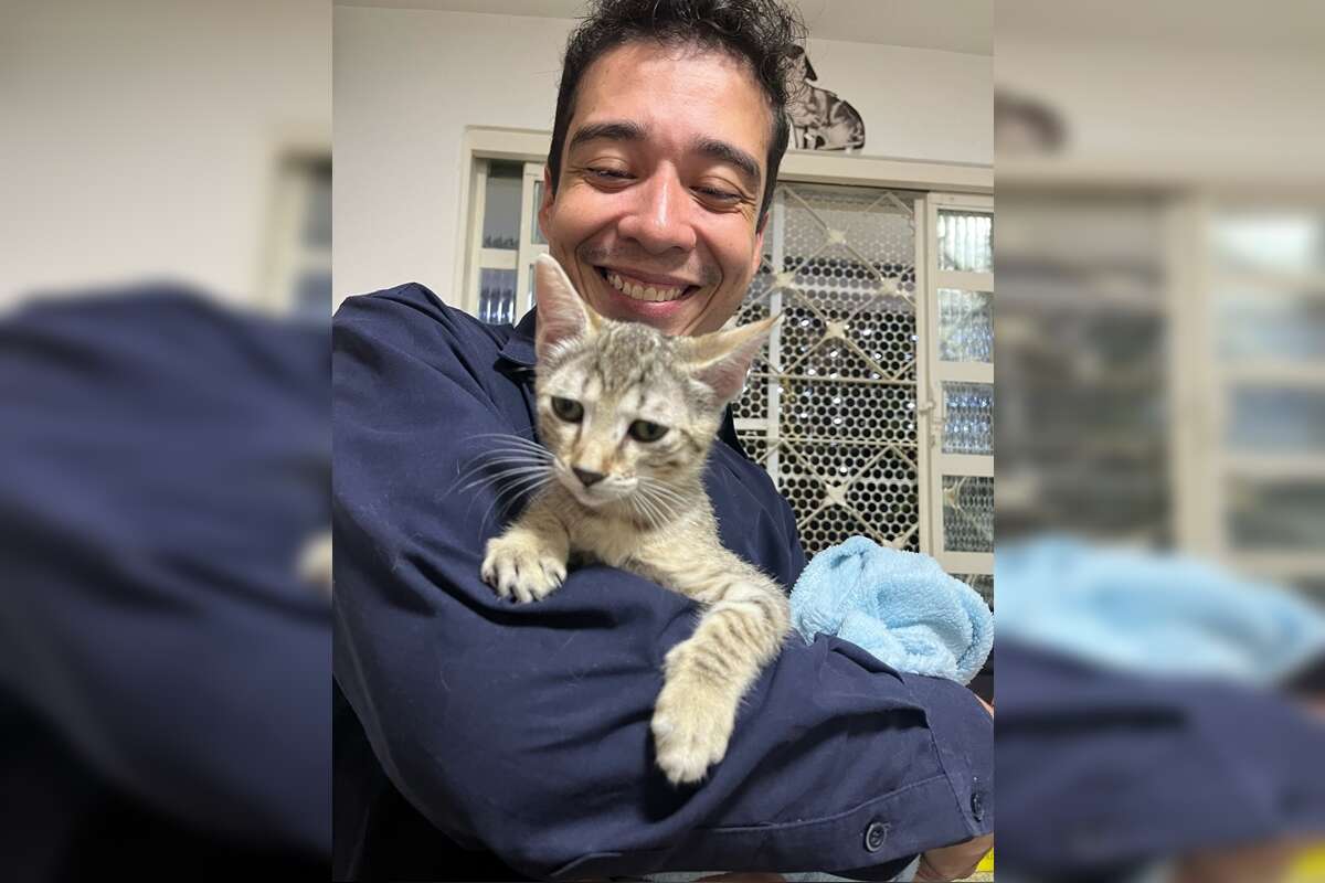 Saiba quem é o psicólogo suspeito de adotar e fazer rituais com gatos