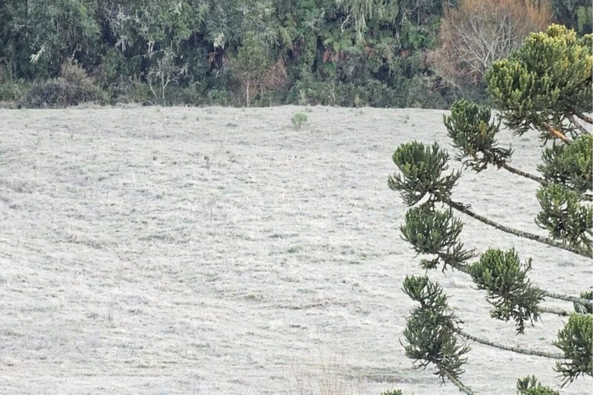 Semana em SC começa com frio abaixo de 0°C e chance de geada