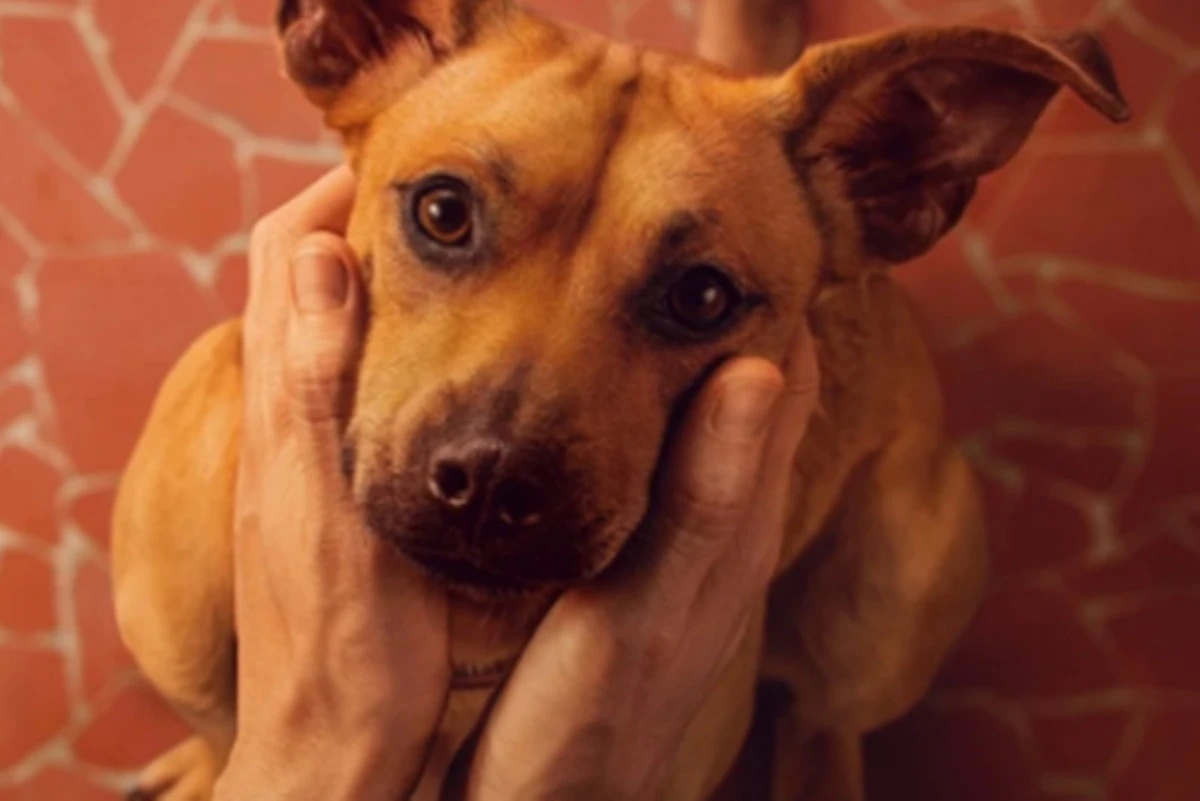 Veja as primeiras imagens de Caramelo, novo filme da Netflix